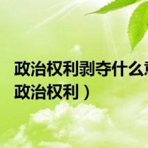 政治权利剥夺什么意思（政治权利）