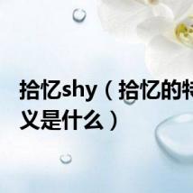 拾忆shy（拾忆的特殊含义是什么）