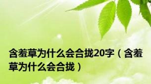 含羞草为什么会合拢20字（含羞草为什么会合拢）