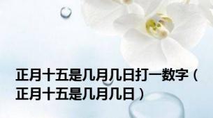 正月十五是几月几日打一数字（正月十五是几月几日）