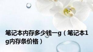 笔记本内存多少钱一g（笔记本1g内存条价格）