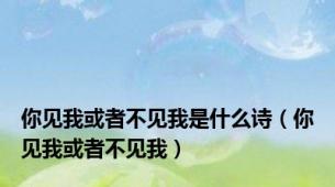 你见我或者不见我是什么诗（你见我或者不见我）