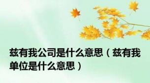 兹有我公司是什么意思（兹有我单位是什么意思）