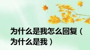 为什么是我怎么回复（为什么是我）