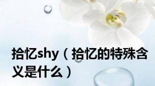 拾忆shy（拾忆的特殊含义是什么）