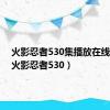 火影忍者530集播放在线观看（火影忍者530）