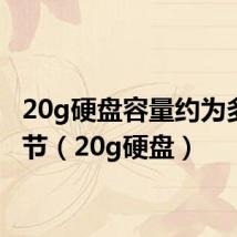 20g硬盘容量约为多少字节（20g硬盘）