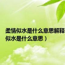 柔情似水是什么意思解释（柔情似水是什么意思）