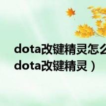 dota改键精灵怎么用（dota改键精灵）