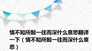 情不知所起一往而深什么意思翻译一下（情不知所起一往而深什么意思）