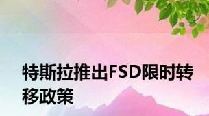 特斯拉推出FSD限时转移政策