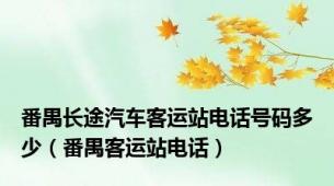 番禺长途汽车客运站电话号码多少（番禺客运站电话）