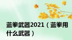 蓝拳武器2021（蓝拳用什么武器）