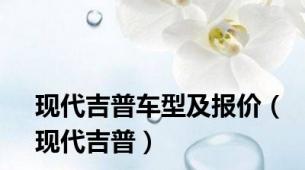 现代吉普车型及报价（现代吉普）