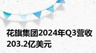 花旗集团2024年Q3营收203.2亿美元