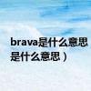 brava是什么意思（ava是什么意思）