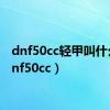 dnf50cc轻甲叫什么（dnf50cc）