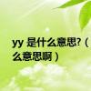 yy 是什么意思?（yy什么意思啊）