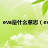 eva是什么意思（eva）