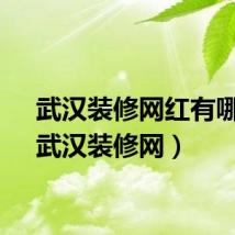 武汉装修网红有哪些（武汉装修网）