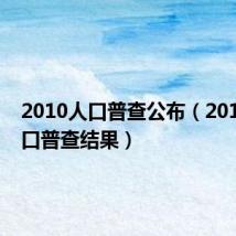 2010人口普查公布（2010年人口普查结果）