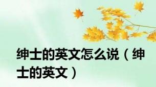 绅士的英文怎么说（绅士的英文）