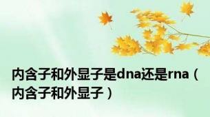 内含子和外显子是dna还是rna（内含子和外显子）