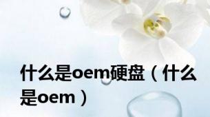 什么是oem硬盘（什么是oem）