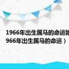 1966年出生属马的命运如何（1966年出生属马的命运）