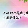 dvd rom是啥（dvdrom属于什么）