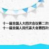 十一届全国人大四次会议第二次会议（第十一届全国人民代表大会第四次会议）