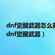 dnf觉醒武器怎么获得（dnf觉醒武器）