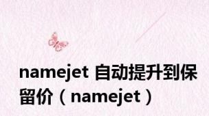 namejet 自动提升到保留价（namejet）