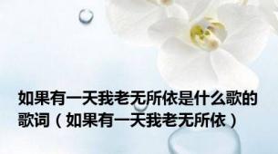 如果有一天我老无所依是什么歌的歌词（如果有一天我老无所依）