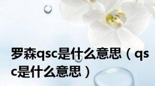 罗森qsc是什么意思（qsc是什么意思）