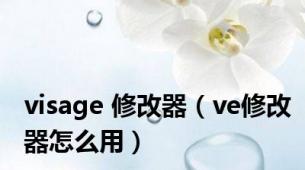 visage 修改器（ve修改器怎么用）