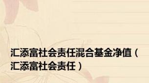 汇添富社会责任混合基金净值（汇添富社会责任）