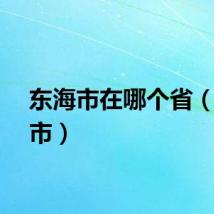 东海市在哪个省（东海市）