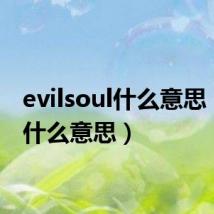 evilsoul什么意思（evil什么意思）