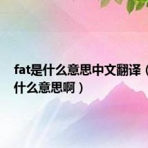 fat是什么意思中文翻译（fat是什么意思啊）