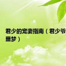 君少的宠妻指南（君少爷的同居噩梦）