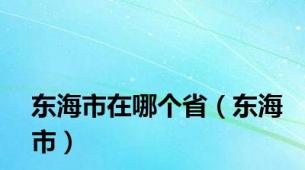 东海市在哪个省（东海市）