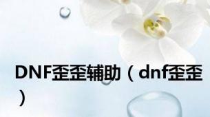 DNF歪歪辅助（dnf歪歪）