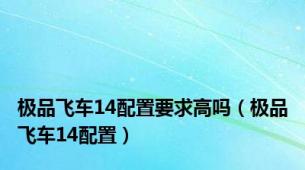 极品飞车14配置要求高吗（极品飞车14配置）