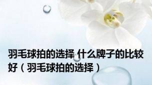 羽毛球拍的选择 什么牌子的比较好（羽毛球拍的选择）