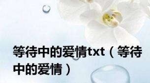 等待中的爱情txt（等待中的爱情）