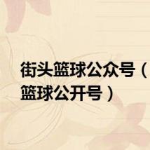 街头篮球公众号（街头篮球公开号）