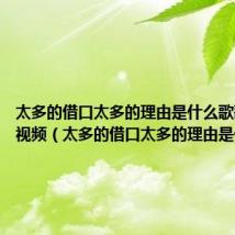 太多的借口太多的理由是什么歌歌词mv视频（太多的借口太多的理由是什么歌）