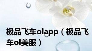 极品飞车olapp（极品飞车ol美服）