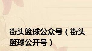 街头篮球公众号（街头篮球公开号）